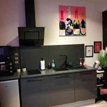 Appartement Terrasse, Parking, Massage, Jacuzzi, Centre, Wifi Épernay