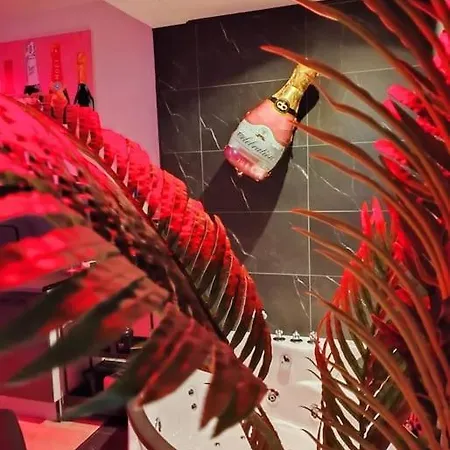Terrasse, Parking, Massage, Jacuzzi, Centre, Wifi Appartement Épernay